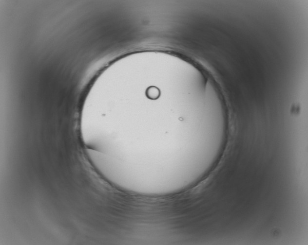 X0000112741461200910011209