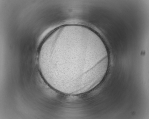 X0000112741462200910011209