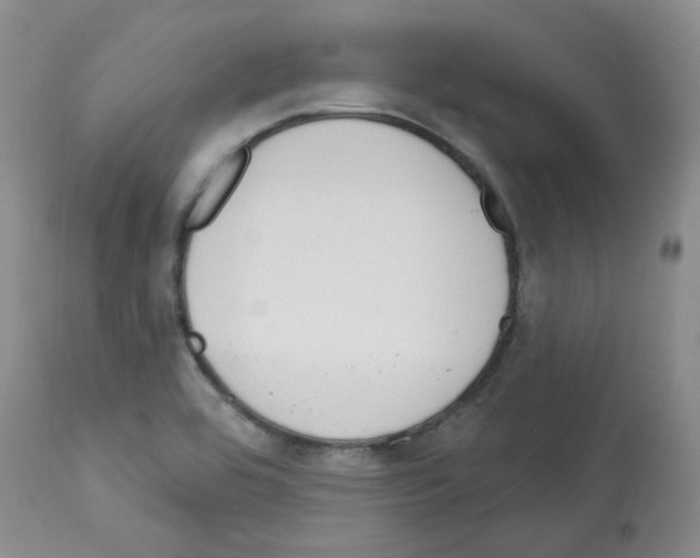 X0000112741464200910011209