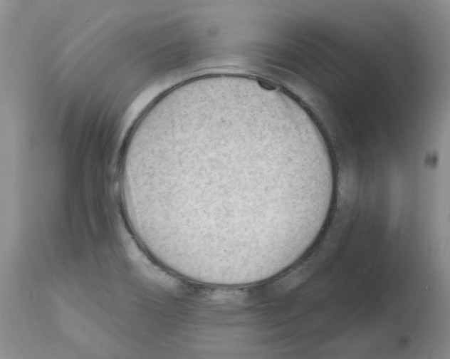 X0000112741466200910011209