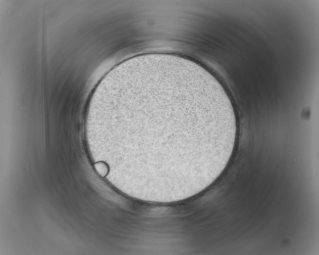 X0000112741467200910011209