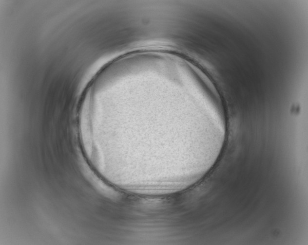 X0000112741470200910011209