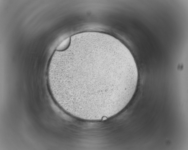 X0000112741471200910011209