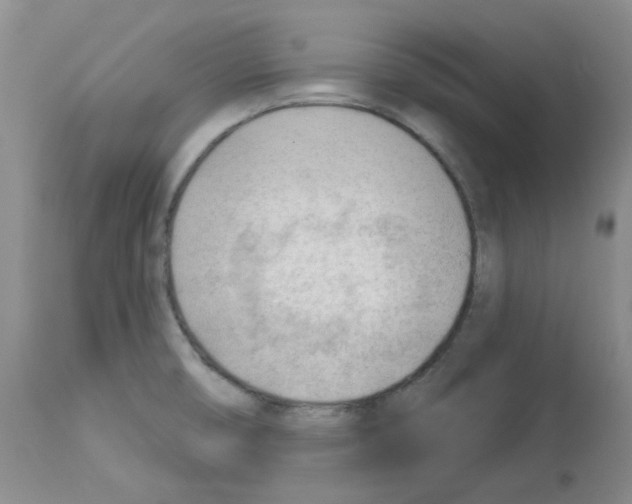 X0000112741474200910011209