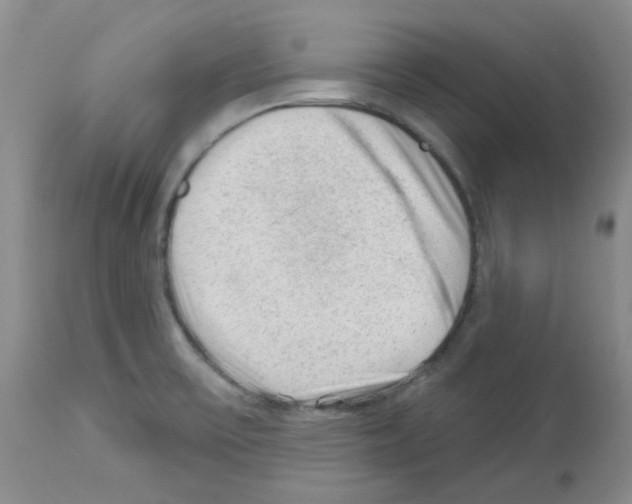 X0000112741475200910011209