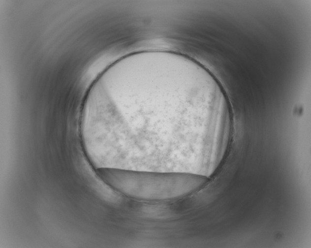 X0000112741477200910011209