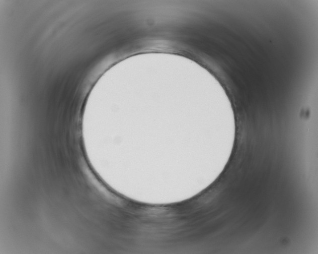 X0000112741479200910011209