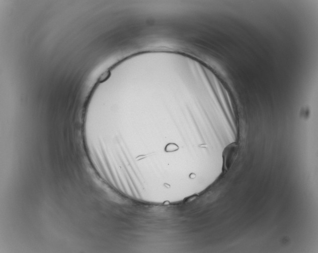 X0000112741480200910011209