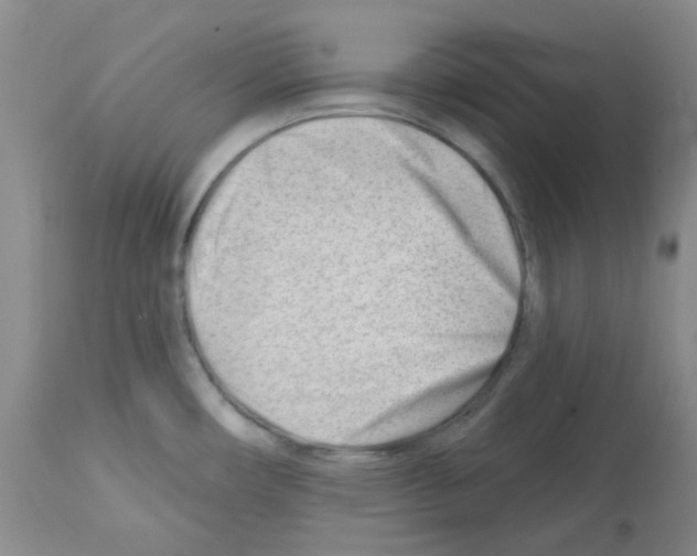 X0000112741482200910011209