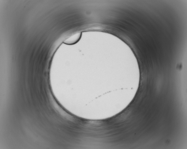 X0000112741483200910011209