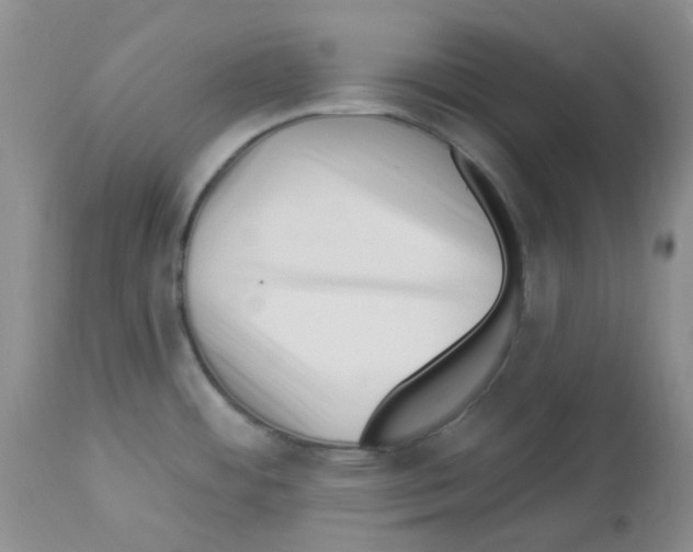 X0000112741484200910011209