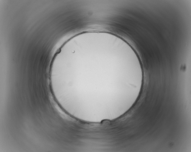 X0000112741485200910011209