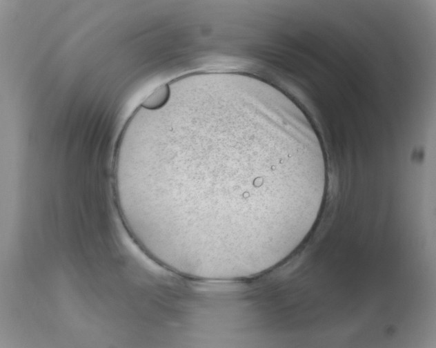 X0000112741487200910011209