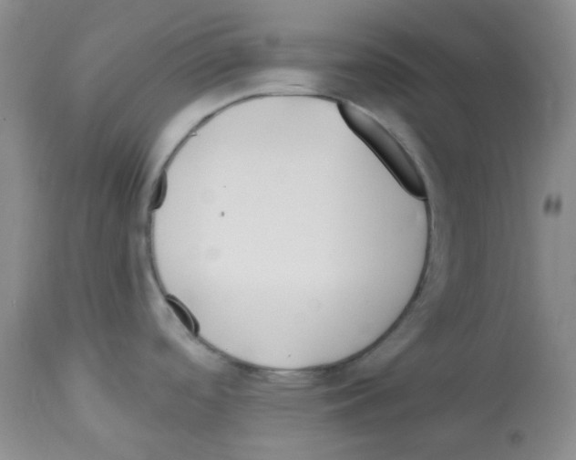 X0000112741488200910011209