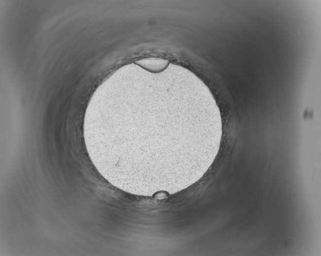 X0000112741489200910011208