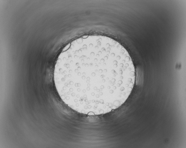 X0000112741491200910011208