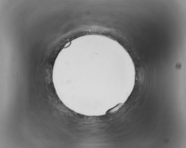 X0000112741493200910011208