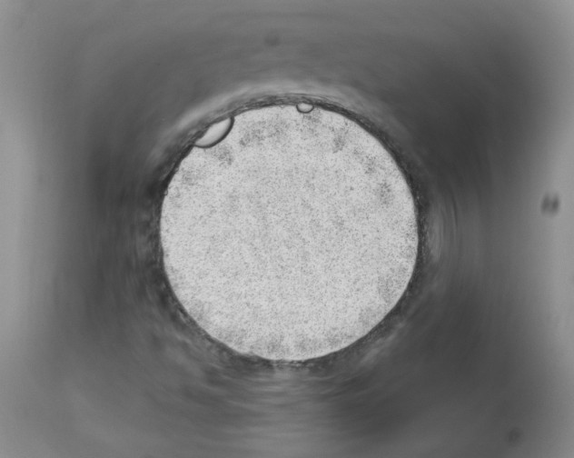 X0000112741494200910011208