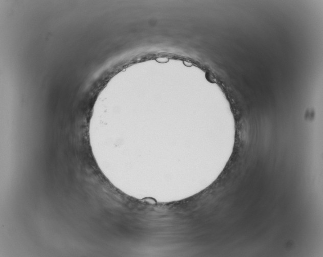 X0000112741495200910011208