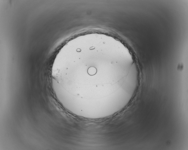 X0000112741496200910011208