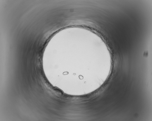 X0000112741497200910011208