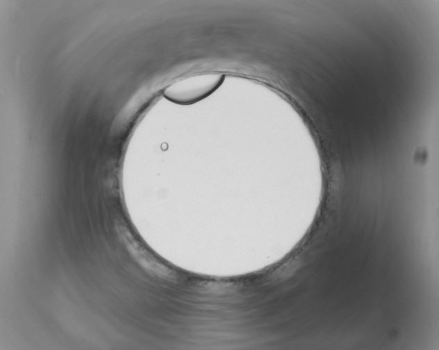 X0000112741499200910011208