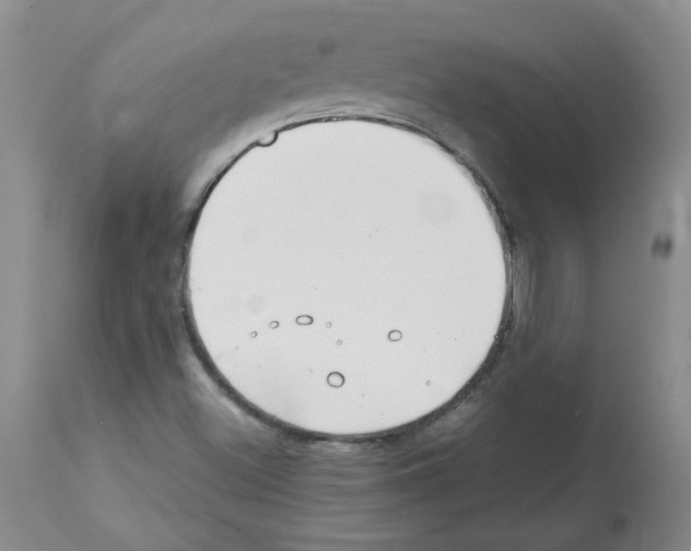 X0000112741500200910011208