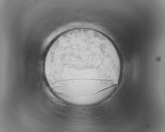 X0000112741503200910011208