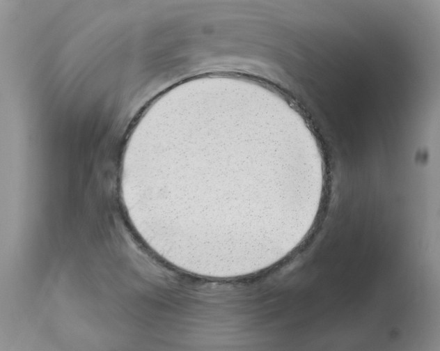 X0000112741505200910011208