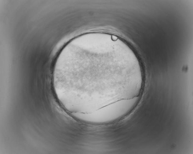 X0000112741506200910011208