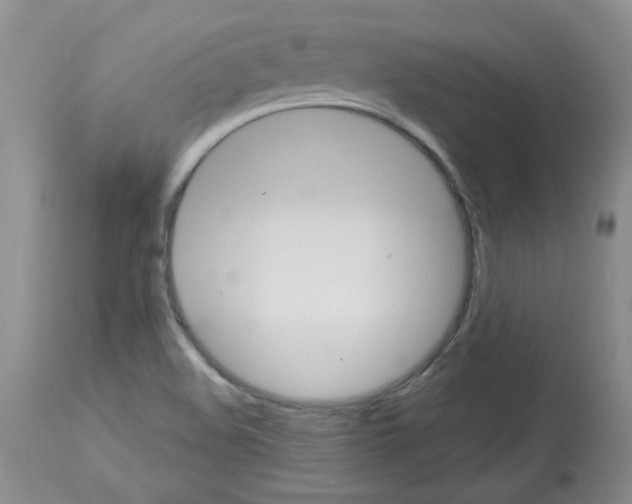 X0000112741508200910011209