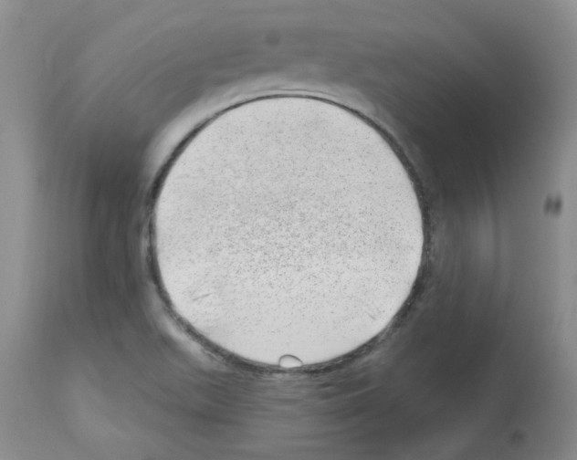 X0000112741511200910011209