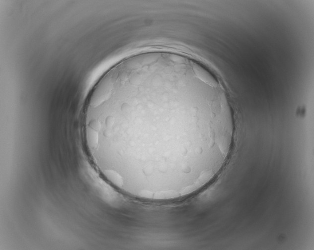 X0000112741514200910011209