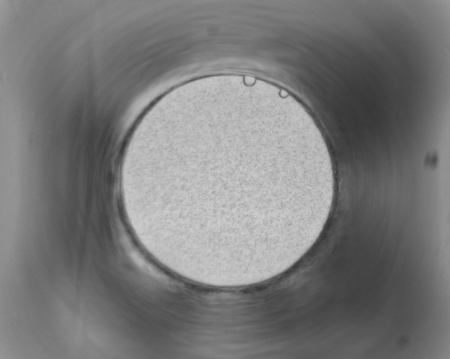 X0000112741515200910011209