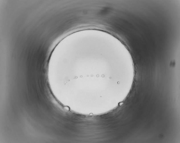 X0000112741516200910011209