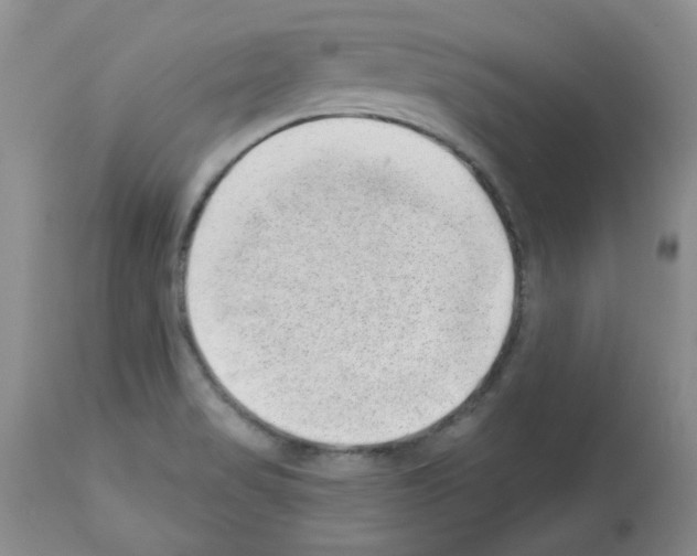 X0000112741517200910011209