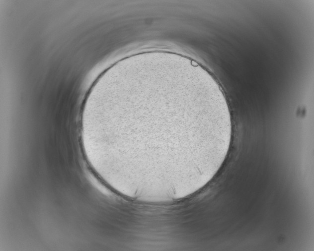 X0000112741519200910011209