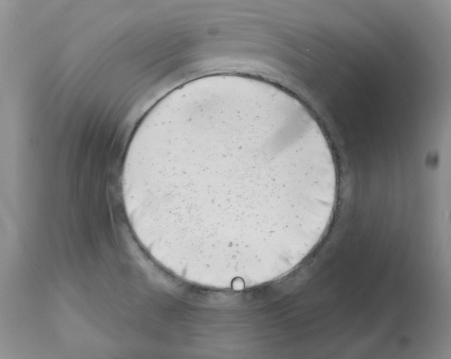 X0000112741521200910011209