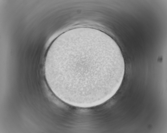 X0000112741522200910011209