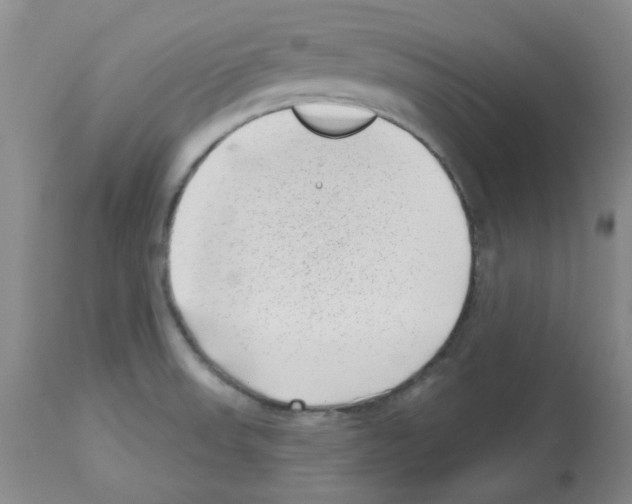 X0000112741523200910011209