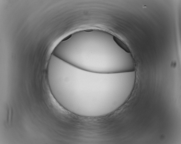 X0000112741524200910011209