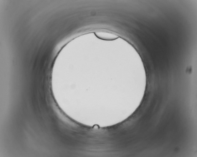 X0000112741526200910011209