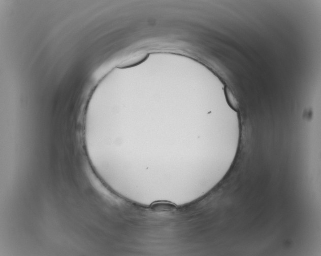 X0000112741528200910011209