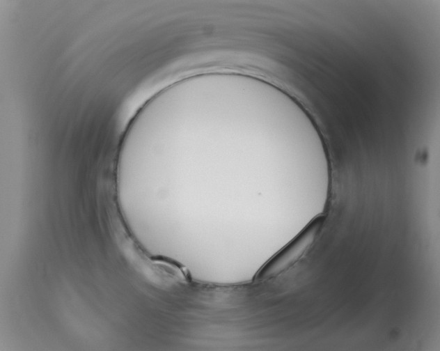 X0000112741530200910011209