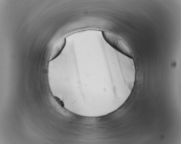 X0000112741532200910011209