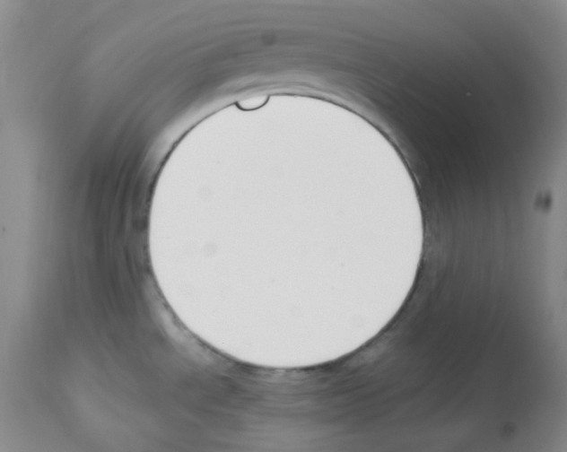 X0000112741534200910011209