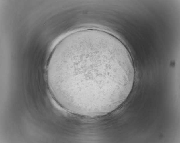 X0000112741535200910011209