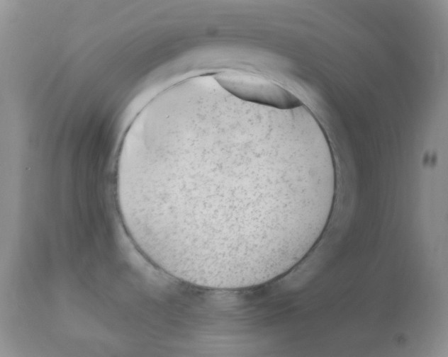 X0000112741536200910011209