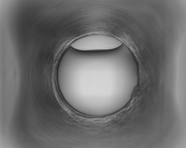 X0000112750001200908201023