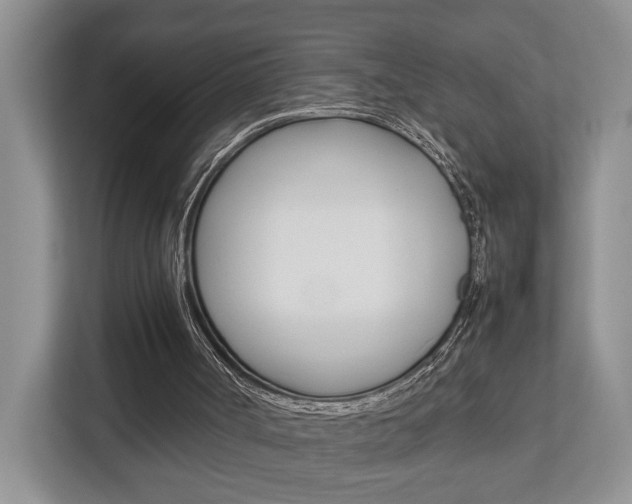 X0000112750002200908201023